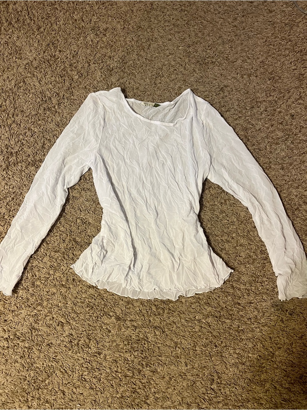 White Sheer Long Sleeve Ruffled Blouse